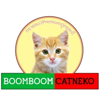 Boomboomcatneko