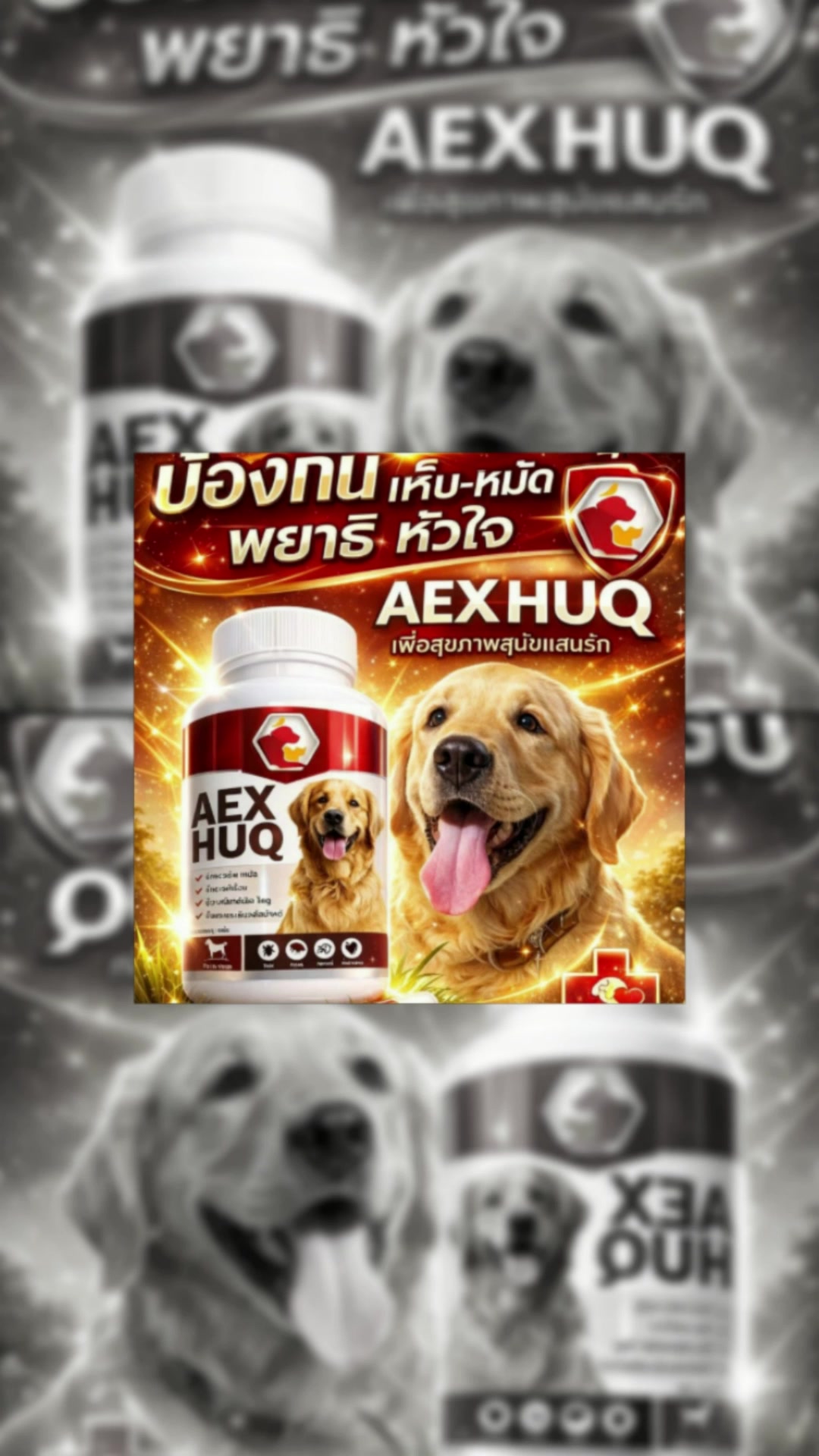 Aexhuq อาหารเสริมสุนัข #รักษาเห็บหมัด #รักษาไร #บำรุงสุนัข