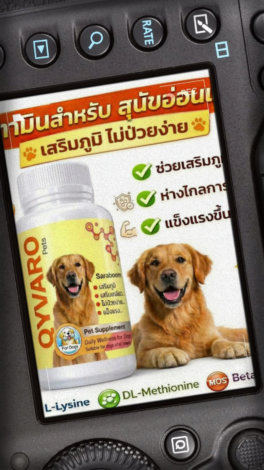 #อาหารเสริมสุนัข #ช้อปปี้ป้ายยา #ของปังดังในแอปส้ม #ShopeeVideoTH #ของฮิตแอปส้ม
