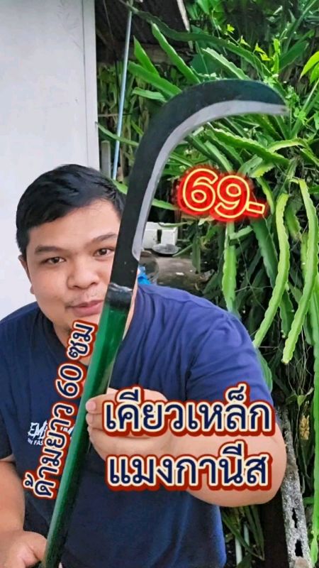 เคียวเหล็กแมงกานีสแท้ ใช้งานดีคมๆ ราคาสบายกระเป๋ามาก #เคียว #เคียวเหล็ก #เคียวแมงกานีส #เคียวเหล็กแมงกานีสแท้ #ช้อปปี้ป้ายยา #คลิปปังคลังรีวิว #ของดี