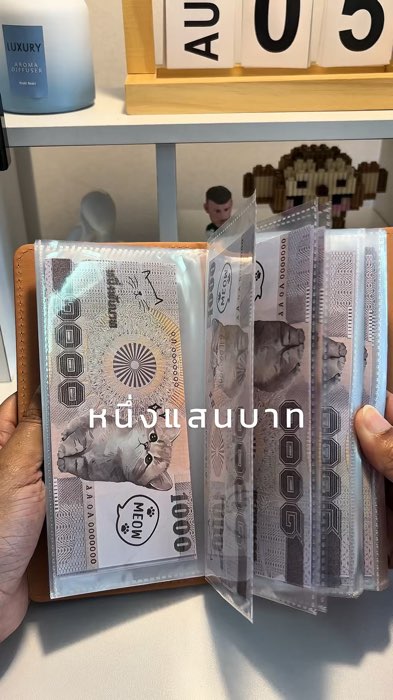 #กระเป๋าออมเงิน #ออมเงิน #เก็บเงิน #กระเป๋าเก็บแบงค์