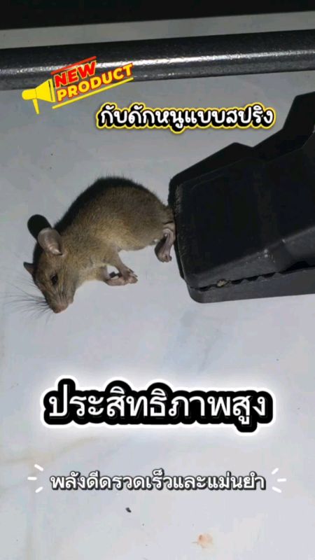 ใครที่กำลังมองหาที่ดักหนูที่ ใช้งานง่าย ได้ผลจริง และเน้นความสะอาดสะดวกรวดเร็ว แนะนำรุ่นนี้เลย คุ้มค่าและช่วยให้บ้านปลอดหนูได้อย่างดีเยี่ยม #กับดักหนู