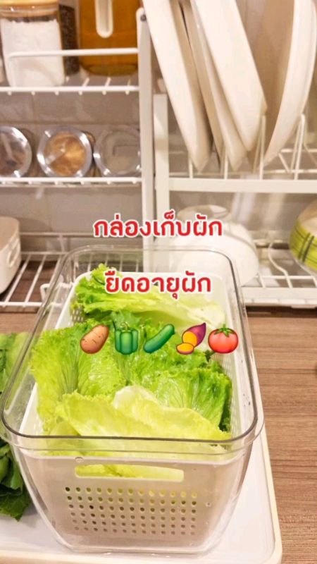 #กล่องเก็บผัก #กล่องถนอมอาหาร #กล่องใส่อาหาร