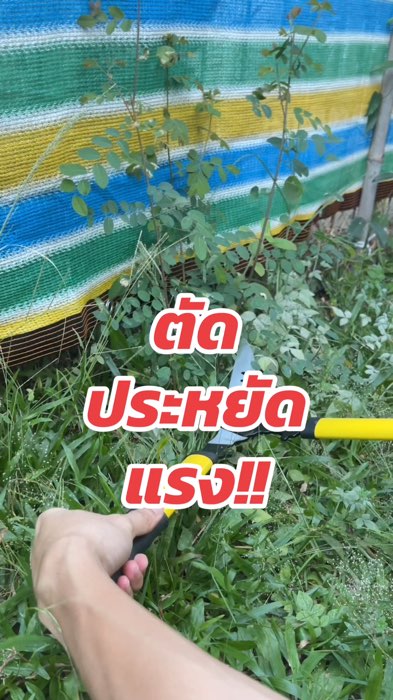 #kéo cắt cỏ #kéo cắt cành tay cầm dài #video giao hàng miễn phí #ShopeeTH #ShopeeVideo