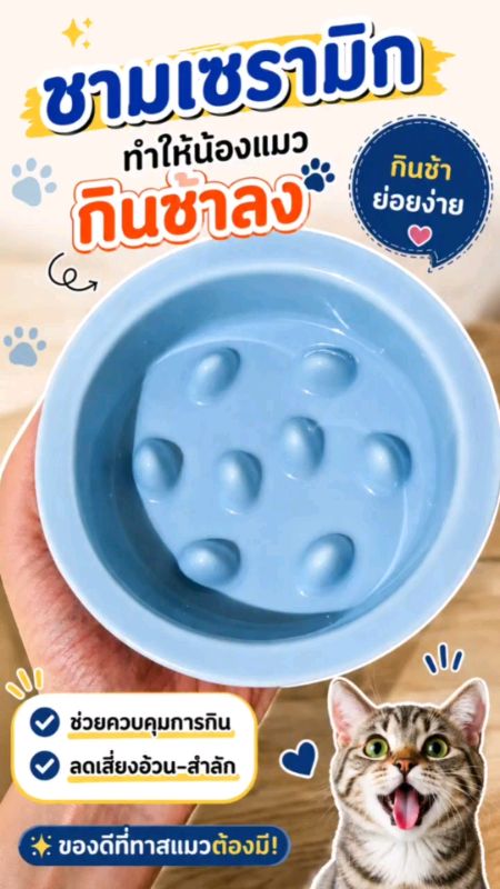 ชามอาหารสัตว์เลี้ยง ทำให้กินช้าลง ลดการอ้วก การกินเร็ว #ชามเซรามิก #ชามแมว #ถ้วยอาหาร #ชามสัตว์เลี้ยง