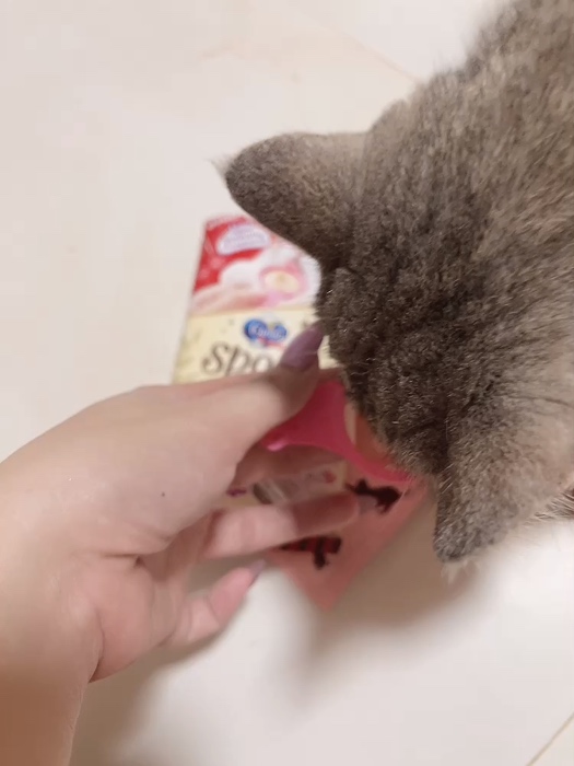 ลูกฉันอยากกินอะไรต้องได้กิน เราเรียก ขนมถ้วย คือน้อนน่ารักมาก เป็นแบบถ้วยๆ ป้อนง่ายไม่เลอะมือแม่ 🐱💕 #spoon #ขนมถ้วยแมว