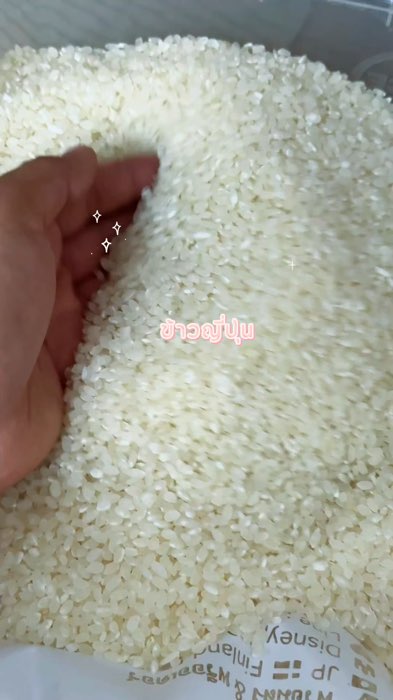 Gạo Nhật nấu trong nồi rất ngon, hạt tốt, thơm ngon nhất #ข้าวญี่ปุ่น #ShopeeVideo #ของเด็ดแอพส้ม #ShopeeVideoMission #ShopeeTH #ช้อปปี้ป้ายยา #เม็ดขาว #หุงขึ้นหม้อ