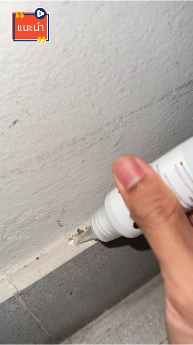 antiant – giải quyết mọi vấn đề kiến gây phiền toái, gel diệt kiến Antiant, không màu không mùi 🐜🐜 #diệtkiến #kiến #antiant #gel_diệtkiến #bẫy #Shopee #đánhgiá #nhãnthuốc #sử_dụng_tốt_chia_sẻ