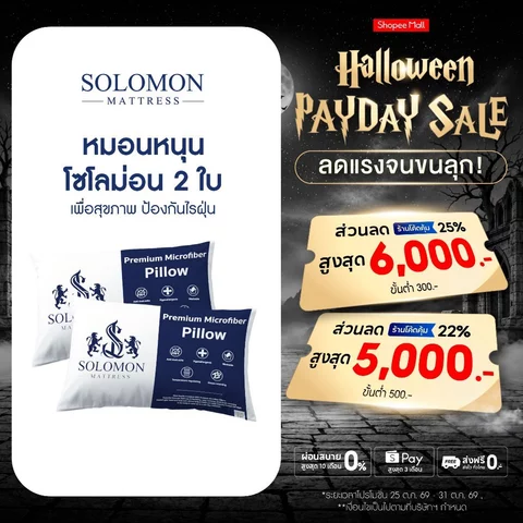 Solomon หมอนหนุนใยสังเคราะห์ นุ่มสบาย น้ำหนักเบา รองรับต้นคอได้อย่างดี เซ็ท 2 ใบ