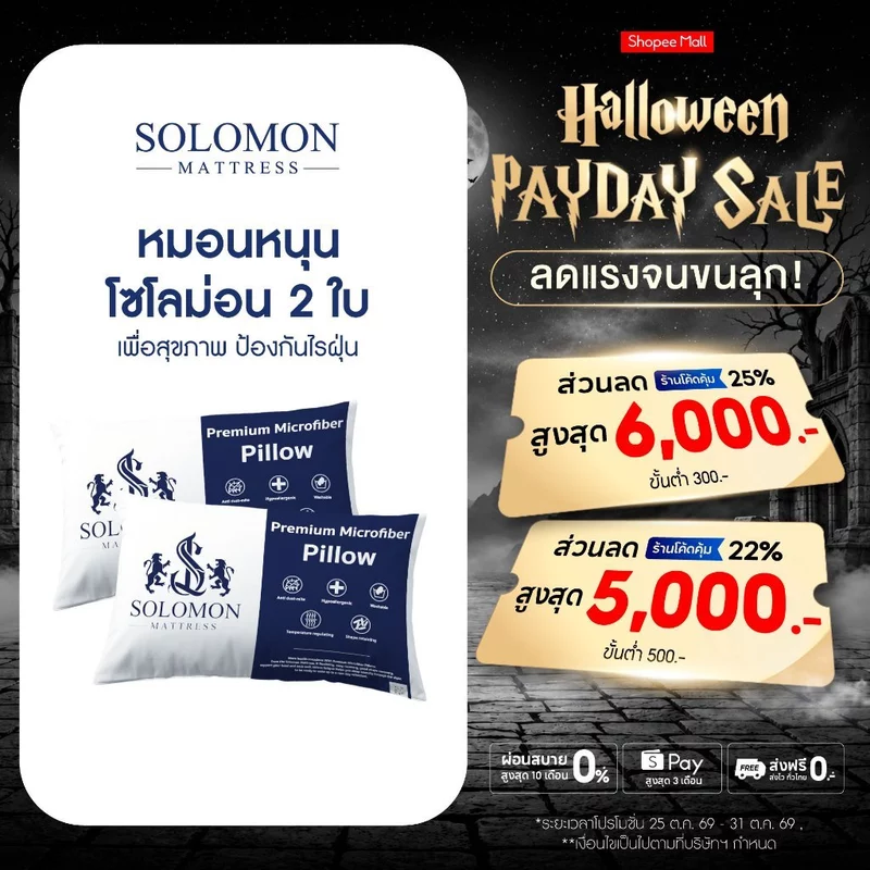 Solomon หมอนหนุนใยสังเคราะห์ นุ่มสบาย น้ำหนักเบา รองรับต้นคอได้อย่างดี เซ็ท 2 ใบ