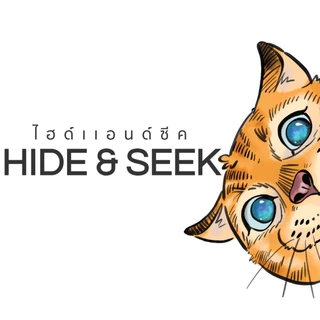 Hide and Seek Cat Litter